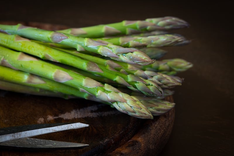 Allergy-Friendly Food Options