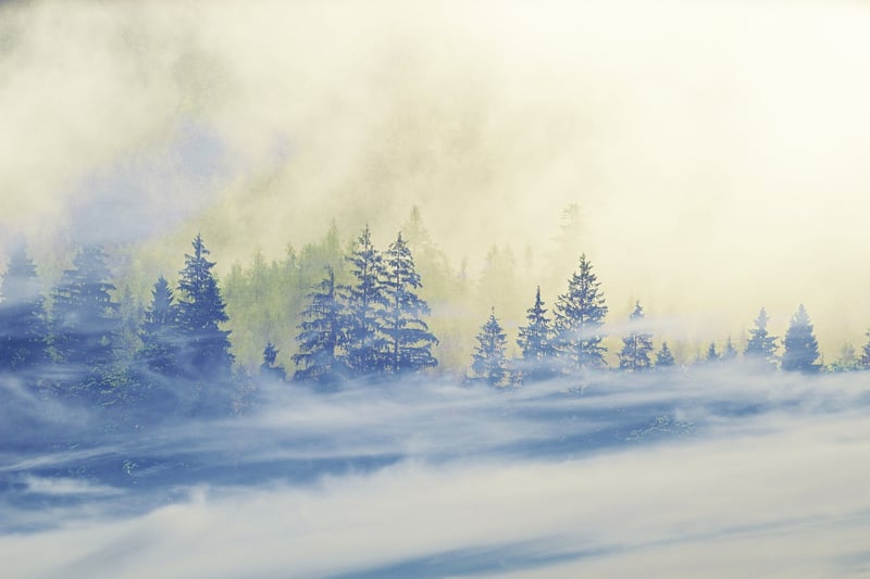 Weather-Appropriate Amenities